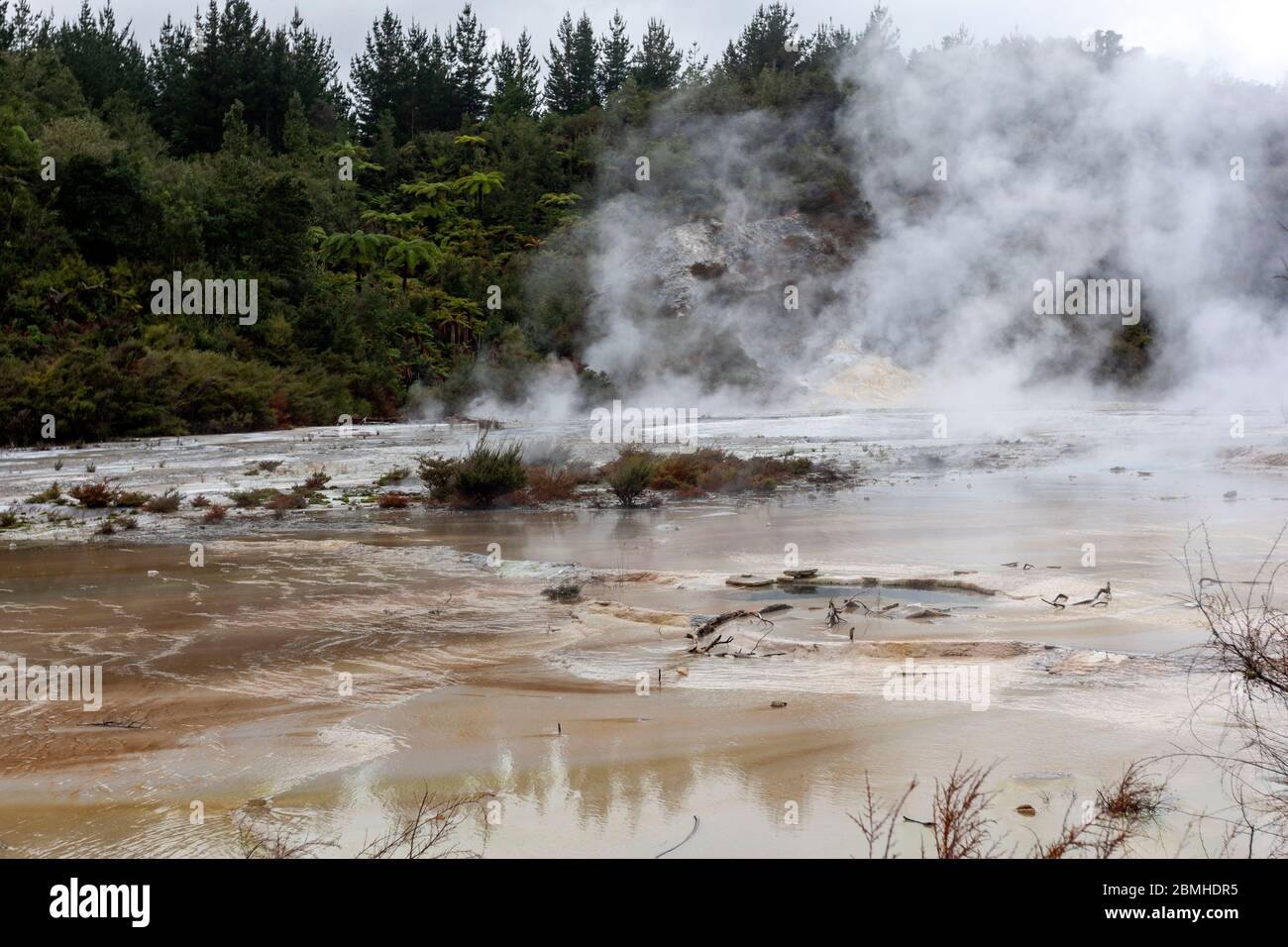 Orakei Korako Thermal Park, Taupo Volcanic Zone, Neuseeland. Stockfoto