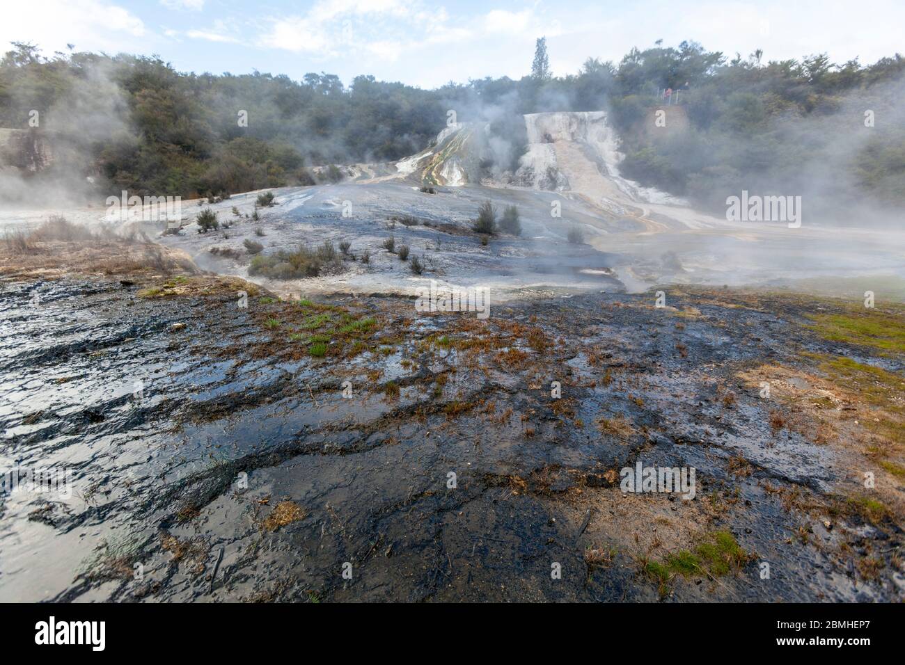 Orakei Korako Thermal Park, Taupo Volcanic Zone, Neuseeland. Stockfoto