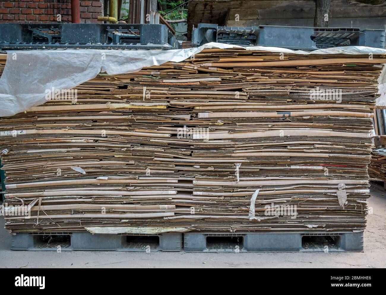Karton müll -Fotos und -Bildmaterial in hoher Auflösung – Alamy