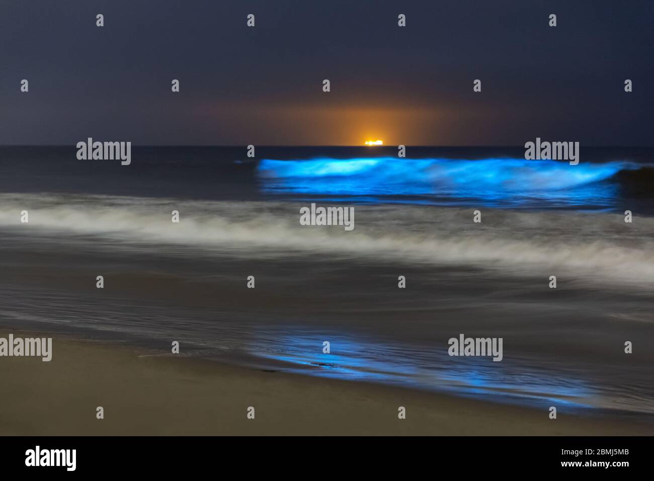 Wellen der Biolumineszenz von glühendem Plankton im pazifischen Ozean, Venice Beach, Los Angeles, Kalifornien, USA Stockfoto