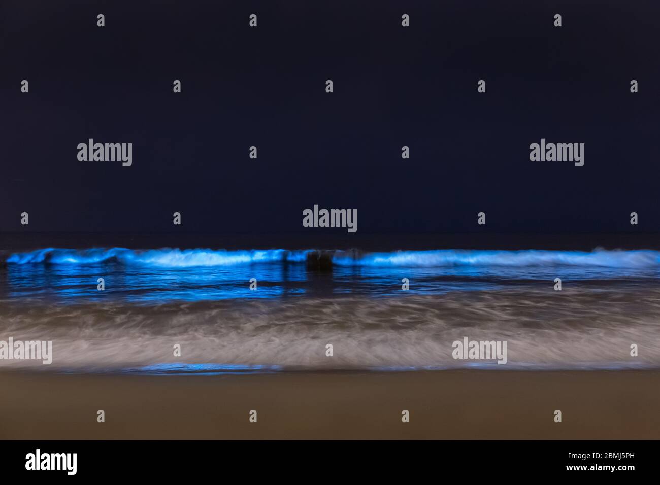 Wellen der Biolumineszenz von glühendem Plankton im pazifischen Ozean, Venice Beach, Los Angeles, Kalifornien, USA Stockfoto