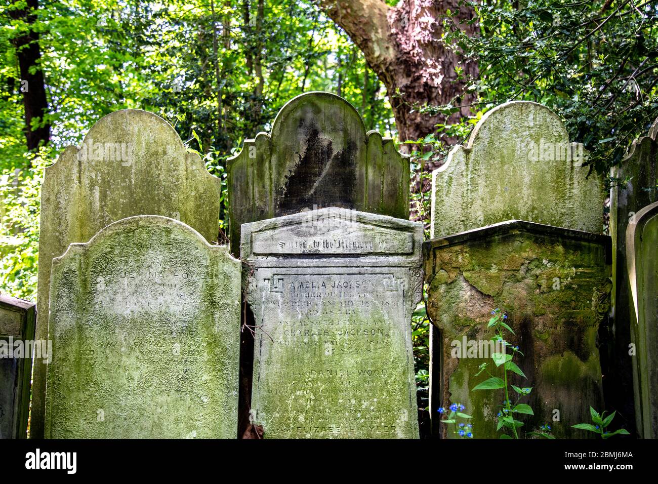 Alte schimmelige Flechten bedeckten Grabsteine im Victorian Tower Hamlets Cemetery Park, London, Großbritannien Stockfoto