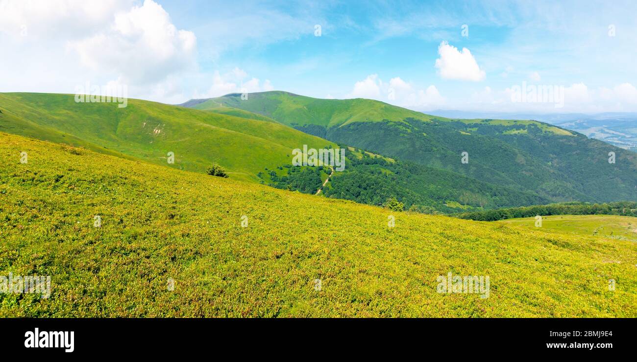 alpine Landschaft der karpaten Bergrücken borzhava. Atemberaubende Aussicht an einem windigen Sommertag. Wolken am Himmel. Beliebtes Reiseziel der ukraine Stockfoto