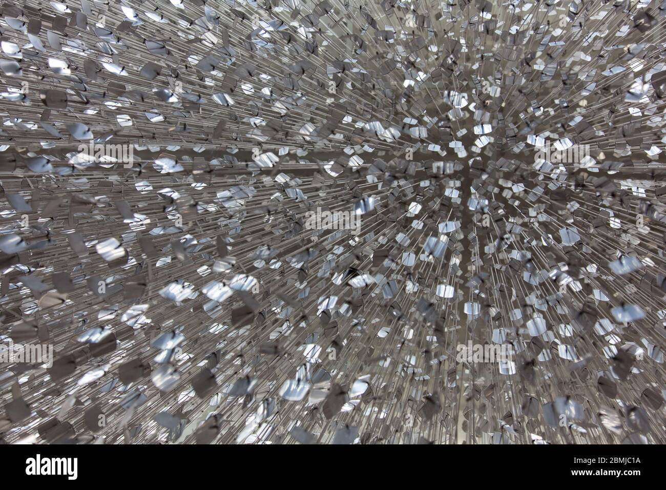 Ausstellung der Hundemarken im North Carolina Veterans Park in der US-amerikanischen Provinz von North Carolina, North Carolina Stockfoto