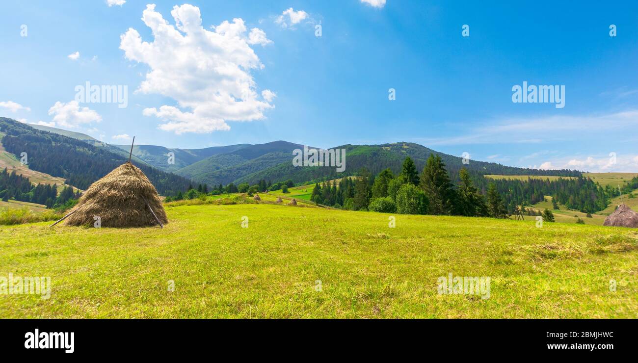 Idyllische ländliche Landschaft an einem sonnigen Sommertag. Idyllische ländliche. Heuhaufen auf dem Feld. Herrliche Landschaft in Bergen unter blauem Himmel mit Flusen Stockfoto
