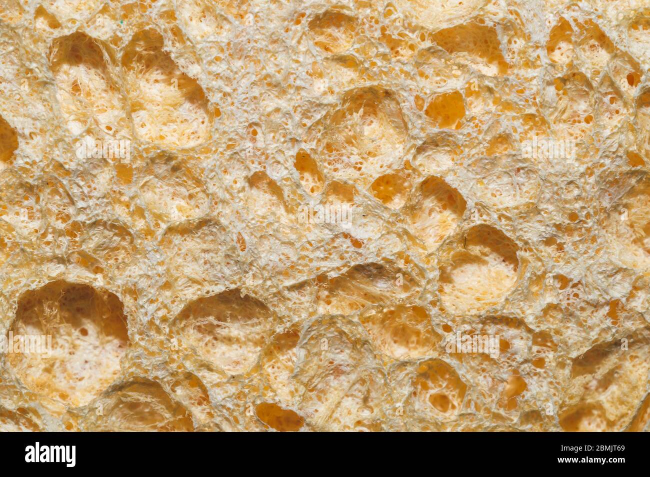 Poröse Materialstruktur aus nächster Nähe. Raue Oberfläche. Abstrakter Hintergrund Stockfoto