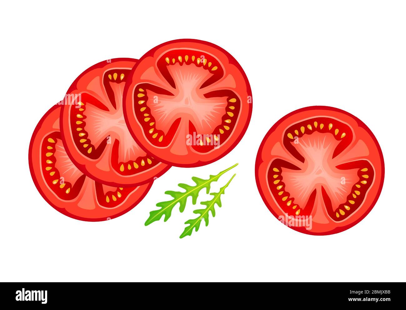 Tomate in Scheiben isoliert auf weißem Hintergrund. Realistische rote Scheiben Tomaten und Rucola Blätter. Reifes Gemüse, runde Stücke für Salat oder andere gesunde Stock Vektor