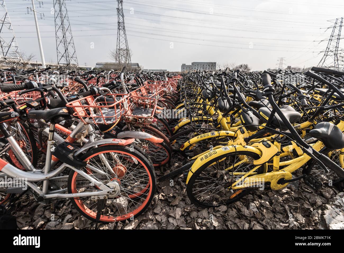 Shanghai, China - 26. Februar 2018: Die Fülle von Gemeinschaftsfahrrädern wirrelt auf einem Parkplatz Stockfoto
