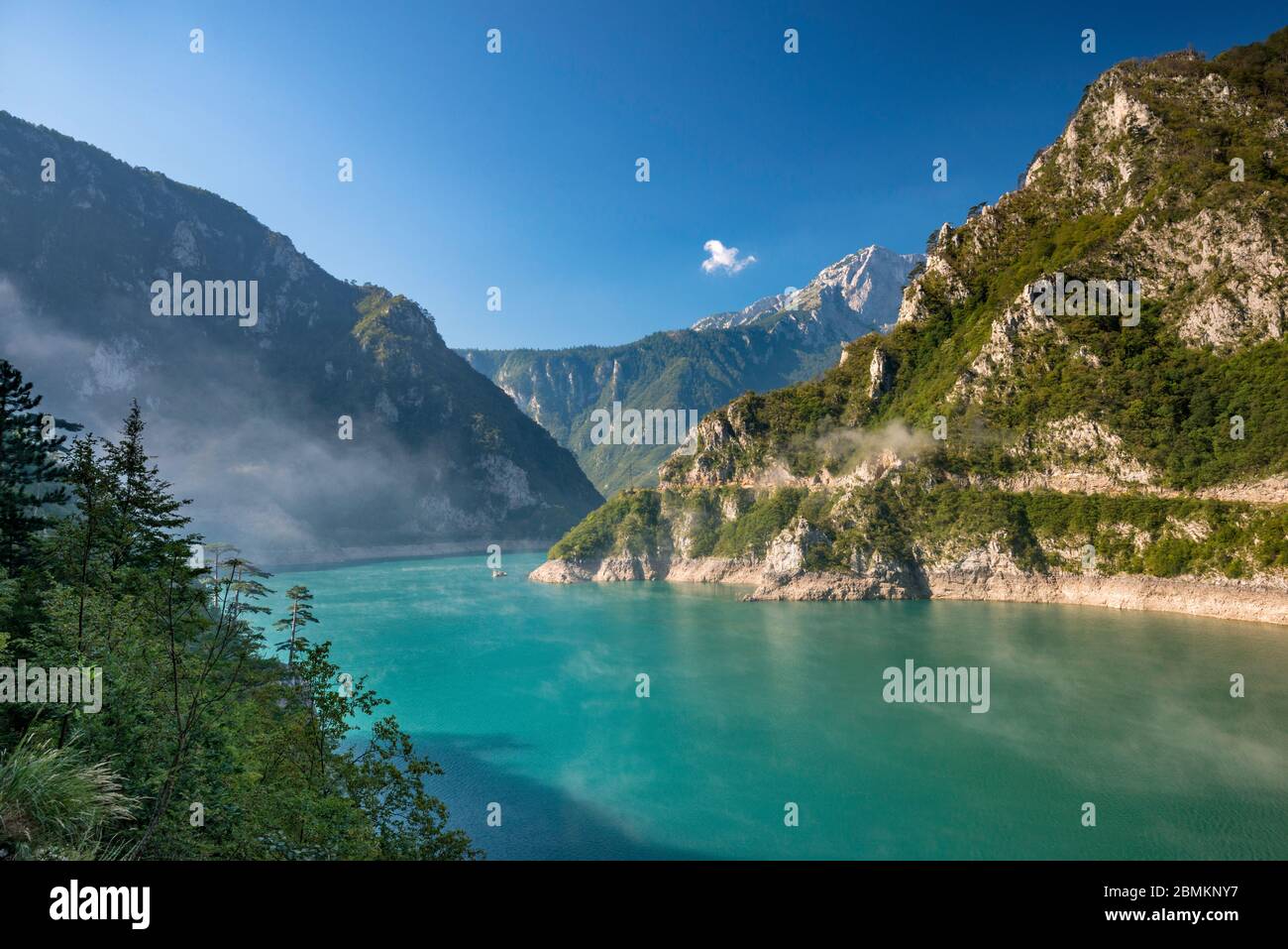 grabgesteck herz künstlich CASA main image 0