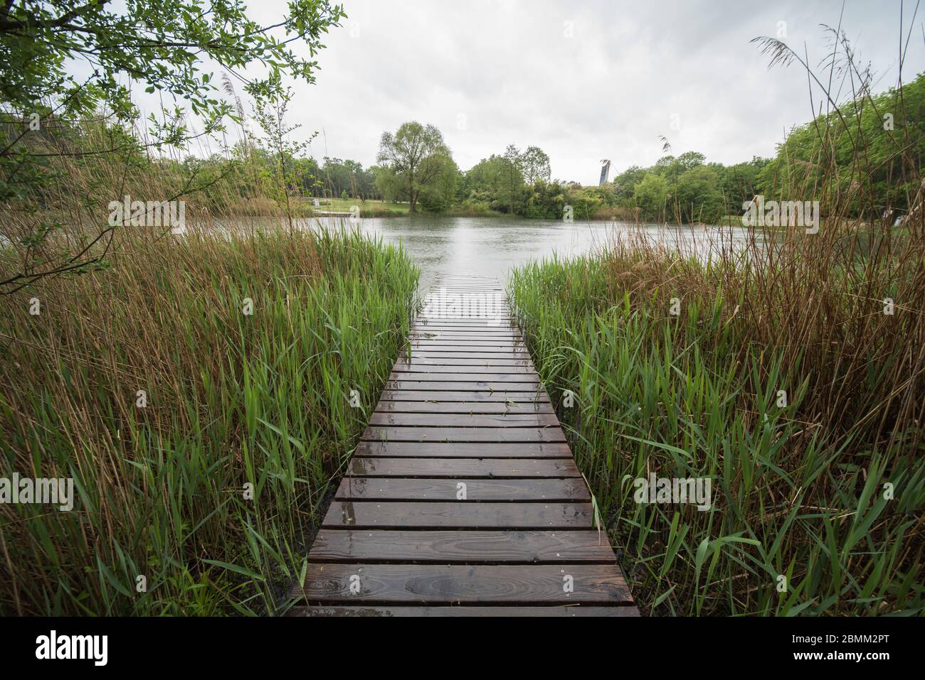 Steg zum Wasser in einem öffentlichen Park an einem regnerischen Tag Stockfoto