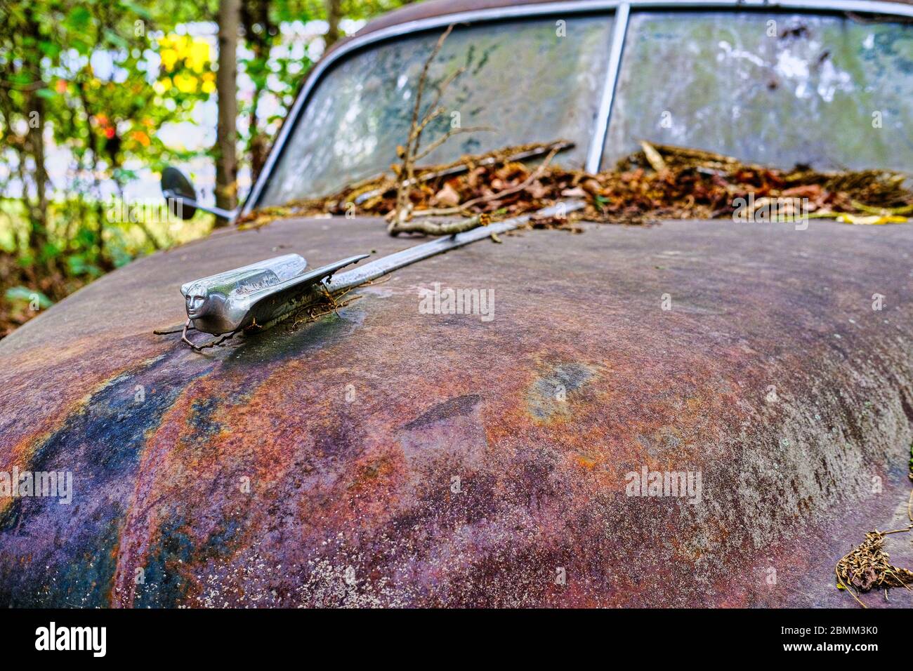 Chrome Hood Ornament auf alten Caddy Stockfoto