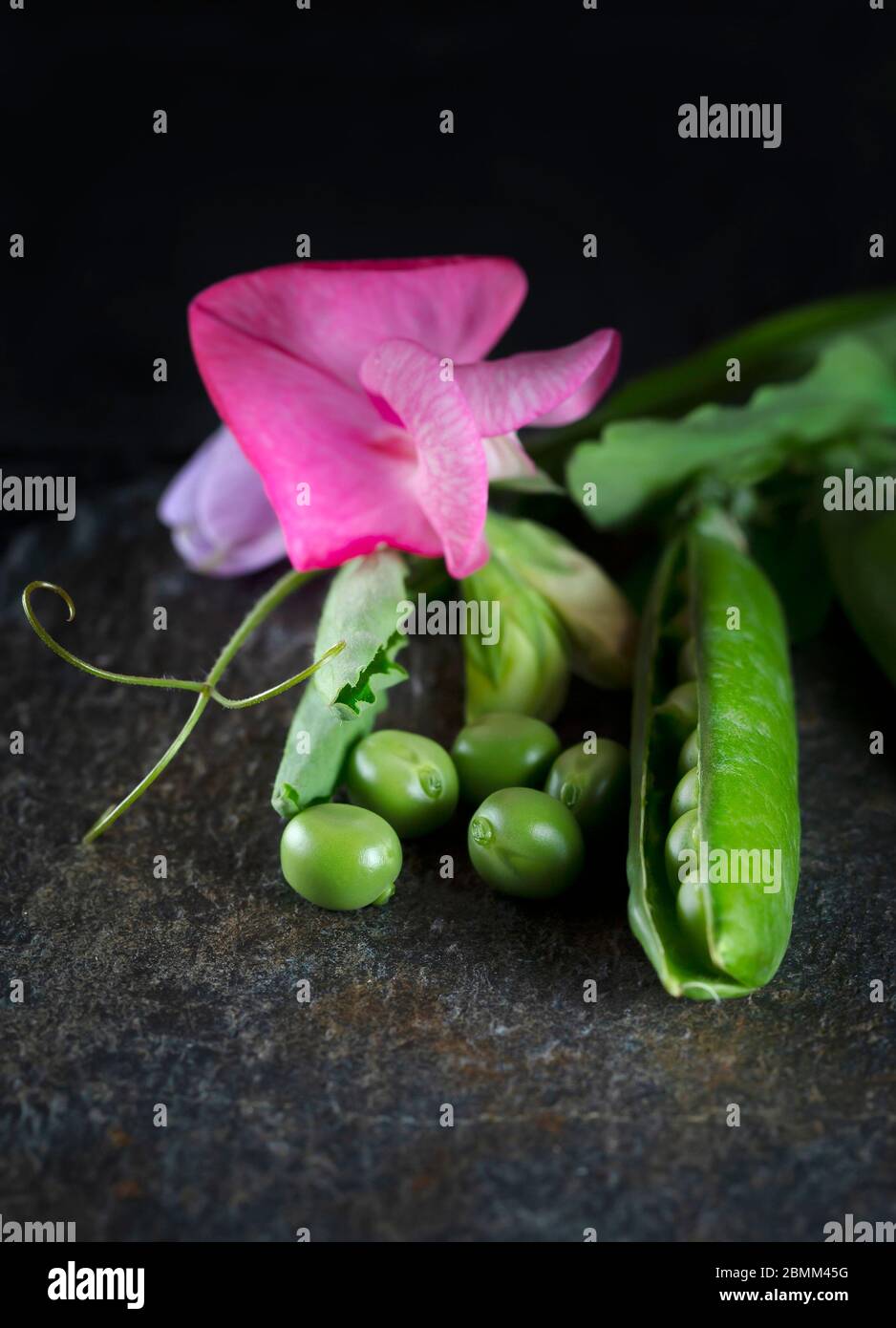 Nahaufnahme von Gartenerbsen auf einem schwarzen Schieferteller. Stockfoto