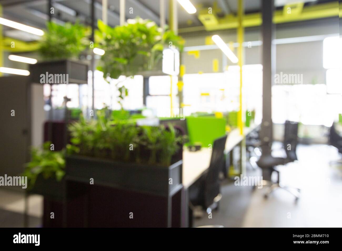 Verschwommene Büroflächen mit grünen Pflanzen-Ecke zum Entspannen Stockfoto
