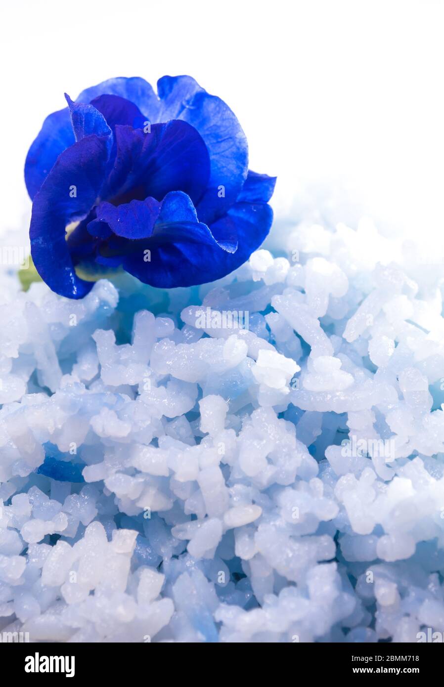 Blaue Farbe gekochter Reis nach Farbe der Schmetterlingserbsenblüte Stockfoto