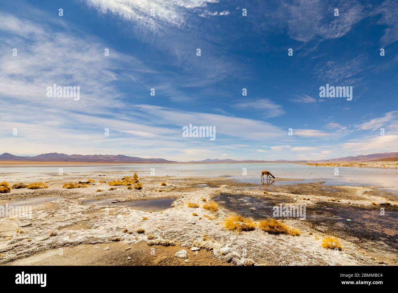 Schöne Landschaft von Laguna Chalviri, bei Aguas Termales Chalviri, im Süden Boliviens. Im Hintergrund Bolivianische Anden und Altiplano in prächtigem Stockfoto