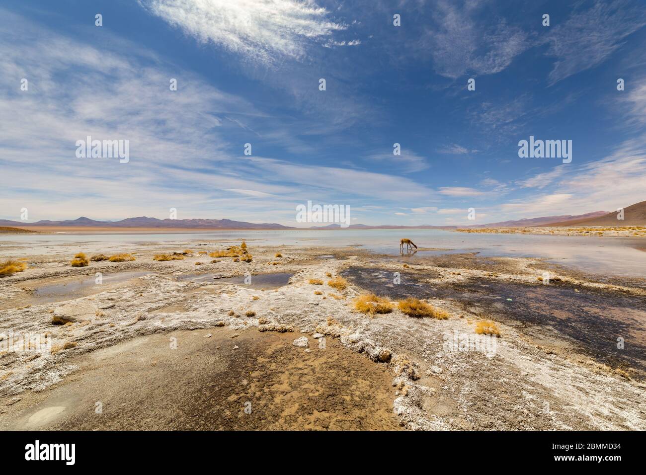 Schöne Landschaft von Laguna Chalviri, bei Aguas Termales Chalviri, im Süden Boliviens. Im Hintergrund Bolivianische Anden und Altiplano in prächtigem Stockfoto