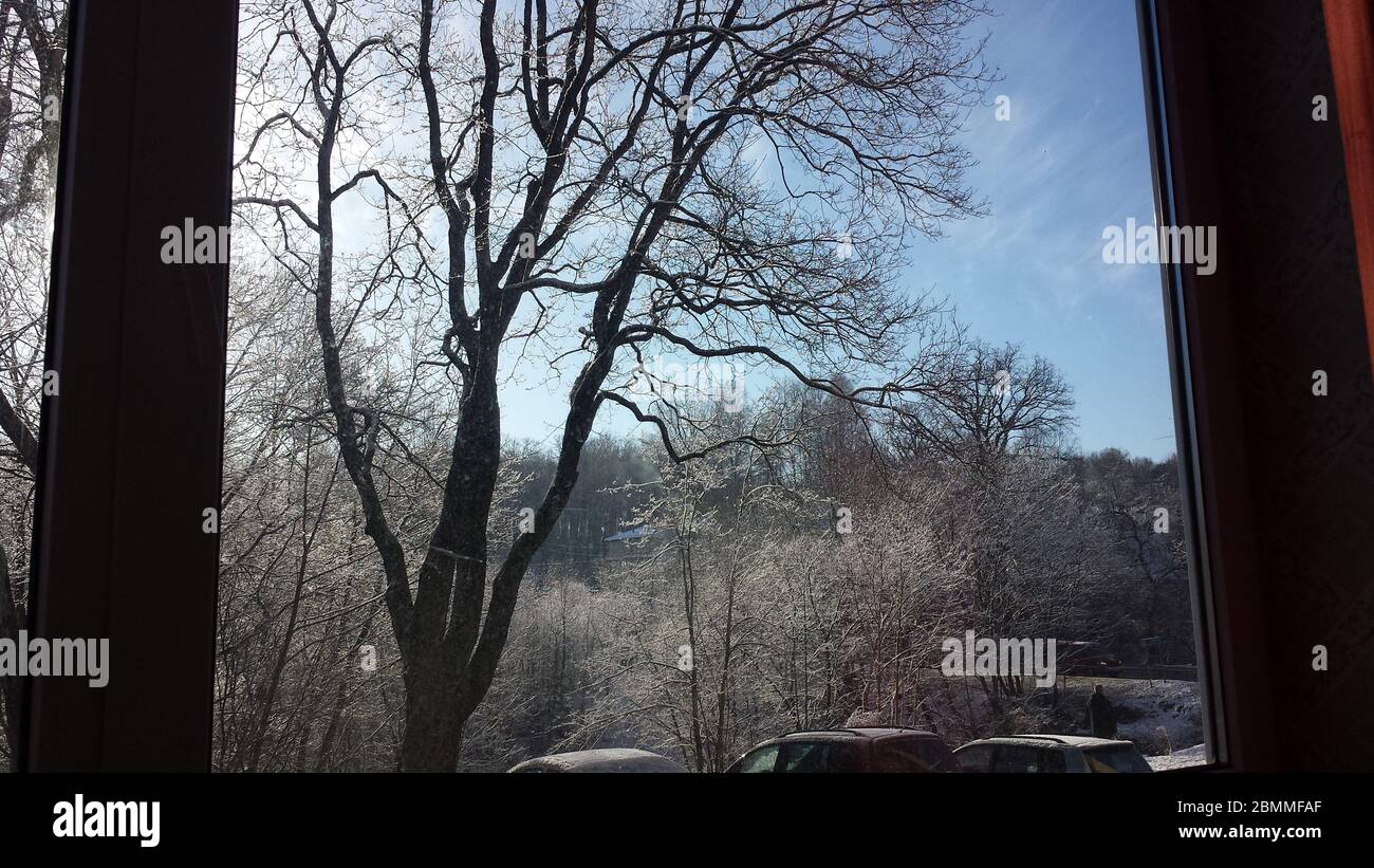 Sonnenaufgang im Winter mit etwas Frost auf den Bäumen Stockfoto