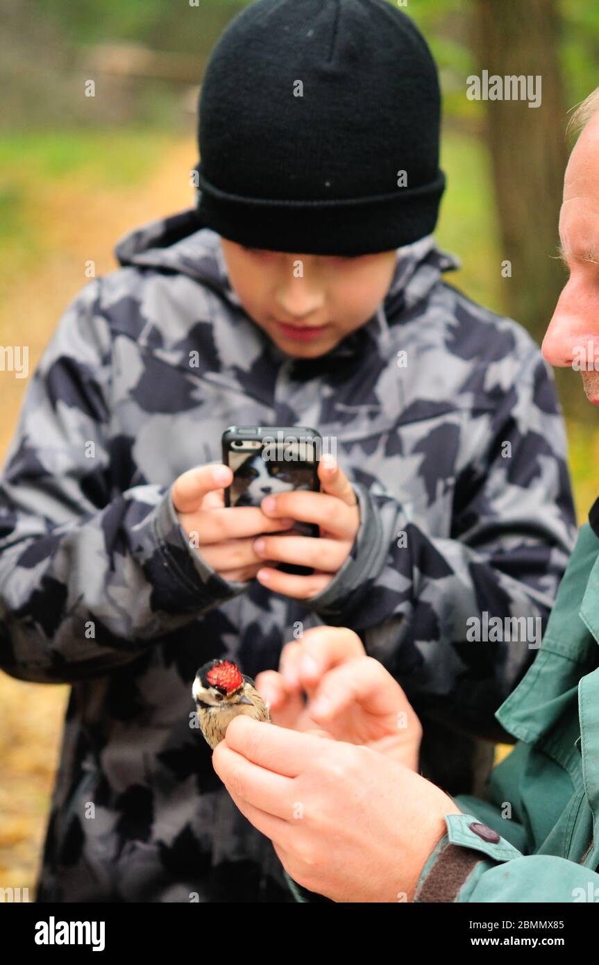 Das Kind macht Fotos von einem Vogel in der Hand Stockfoto