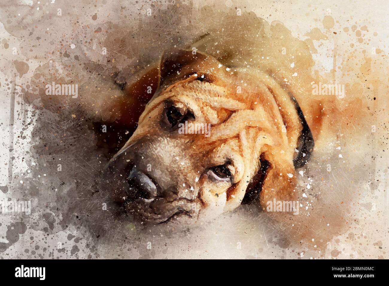 Mixed Media Portrait eines ruhenden Shar pei Hundes. Digitales Aquarell-Portrait mit Farbspritzern, Kratzern und Blots. Stockfoto