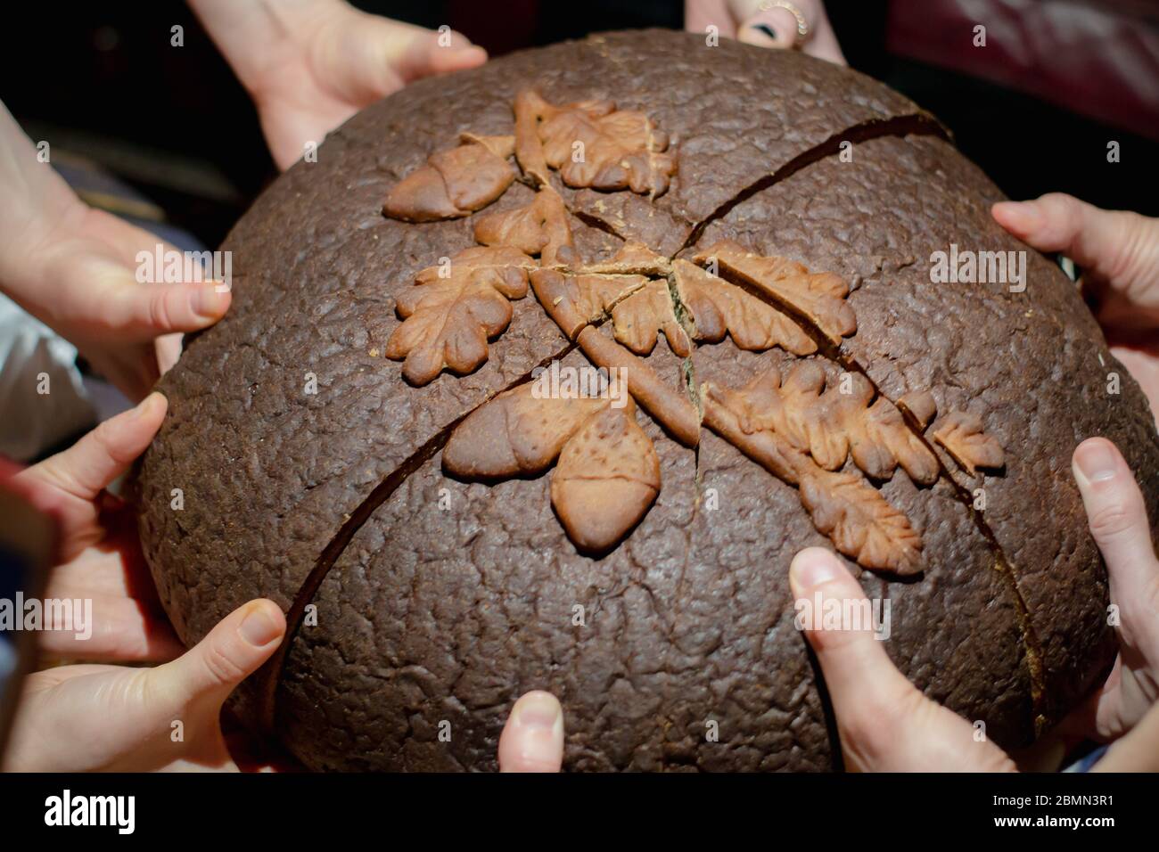 Mehrere junge Hände teilen braunes Rundbrot Stockfoto