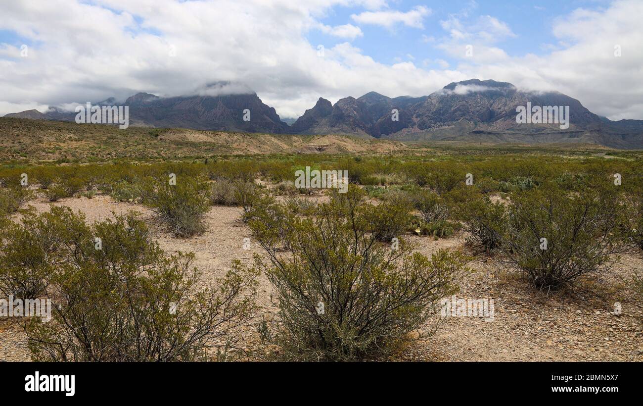 Die Chisos Mountains im Big Bend National Park in Texas sind vulkanischen Ursprungs Stockfoto