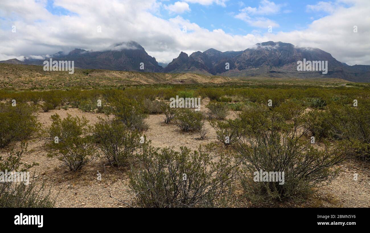 Die Chisos Mountains im Big Bend National Park in Texas sind vulkanischen Ursprungs Stockfoto