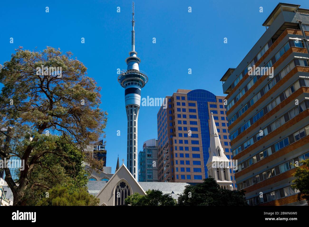 Der Sky Tower im Geschäftsviertel von Auckland, Neuseeland. Stockfoto