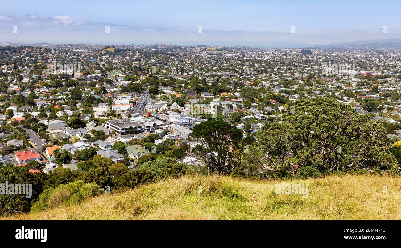 Blick über Grafton, Auckland, Neuseeland vom Auckland Domain Park. Wohnviertel. Stockfoto