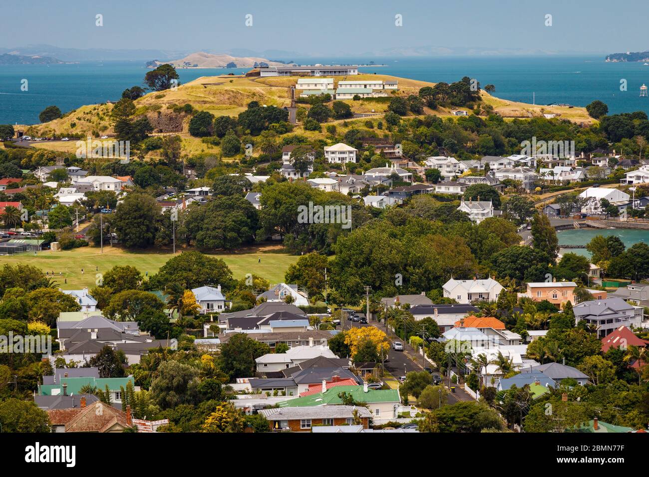 Blick über Devonport in Richtung Maungauika North Head Historic Reserve und Auckland Harbour, Auckland, Neuseeland. Stockfoto