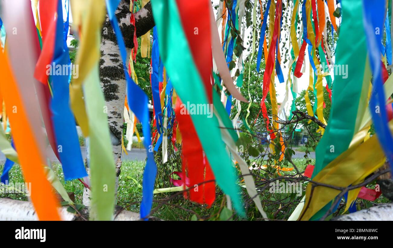 Maibaum mit bunten Bändern Stockfoto