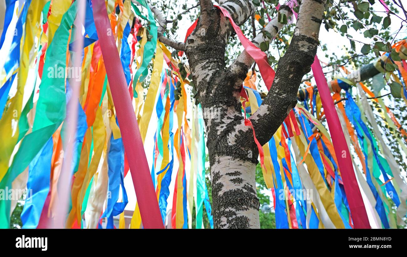 Maibaum mit bunten Bändern Stockfoto