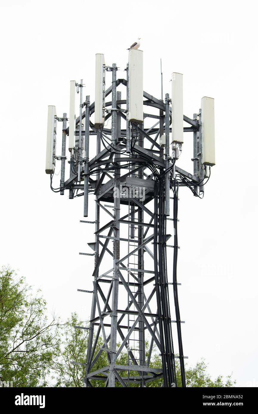 Ein 5G-Mobilfunkmast auf einer Wohnanlage in Newport, Wales, Großbritannien. Einige Telefonmasten in Großbritannien wurden als unbewiesene Behauptungen vandalisiert Stockfoto
