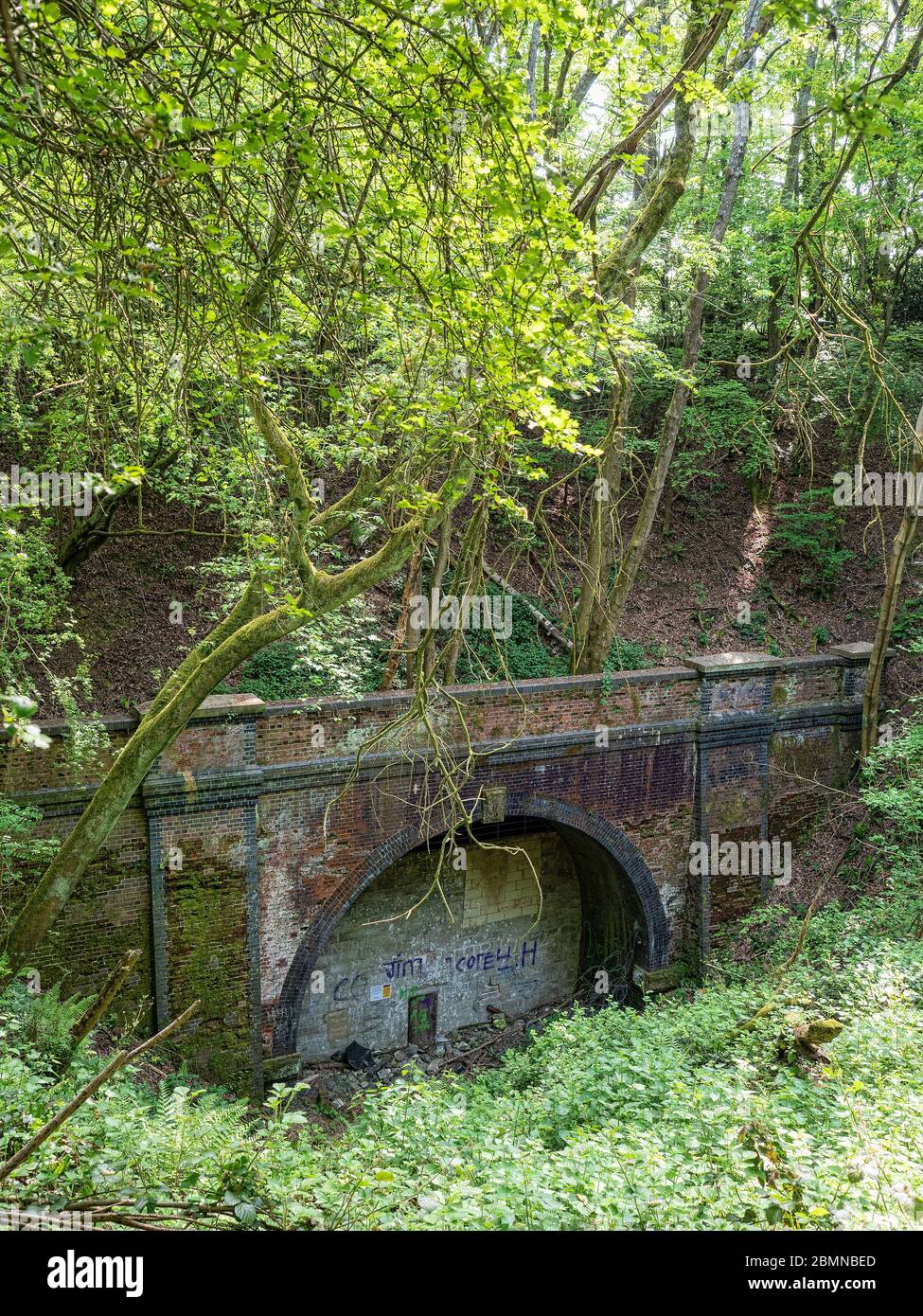 Ehemaliger Meon Valley Rail Tunnel, Privett, Hampshire Stockfoto