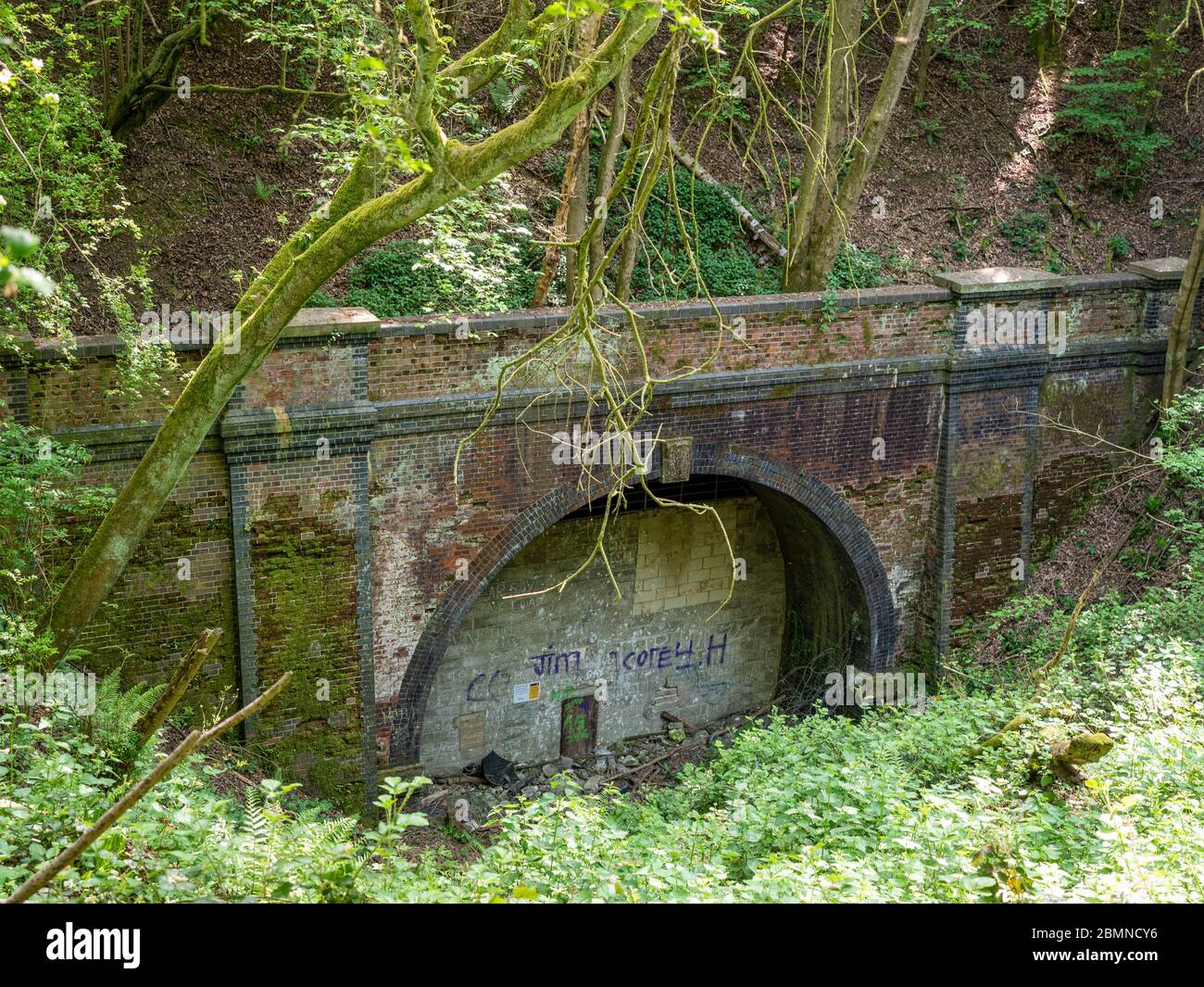 Ehemaliger Meon Valley Rail Tunnel, Privett, Hampshire Stockfoto