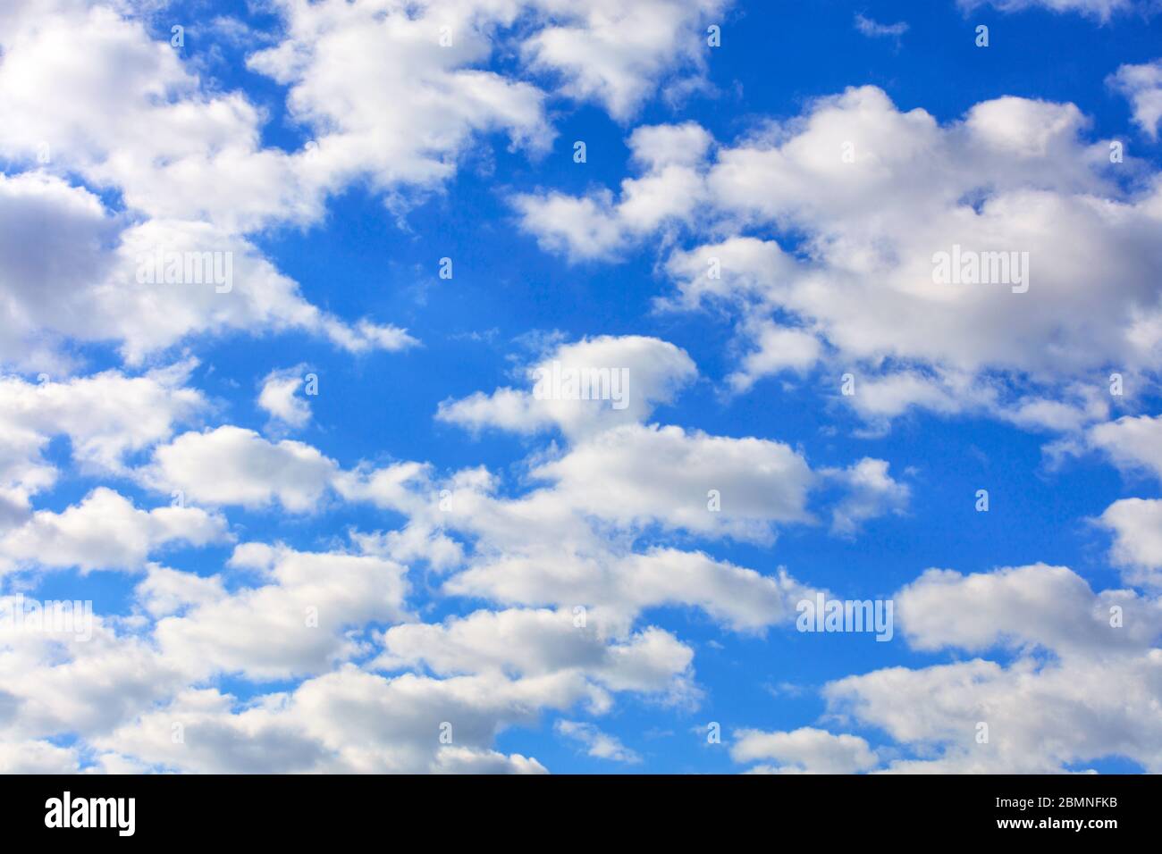 Blauer Himmel mit weißen, flauschigen Wolken, die hoch über dem Kopf schweben. Stockfoto
