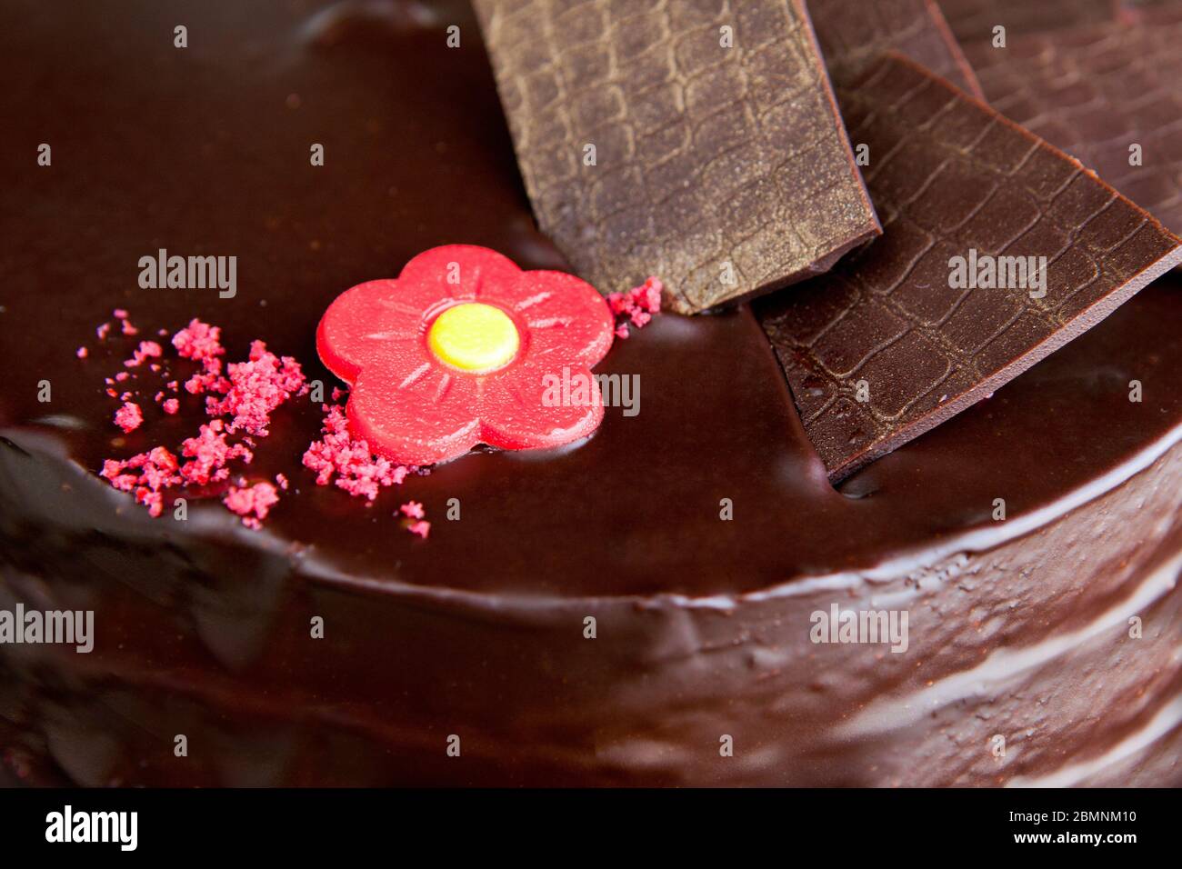Schokoladenkuchen mit Schokoladenverzierungen und roter Marzipanrose Stockfoto