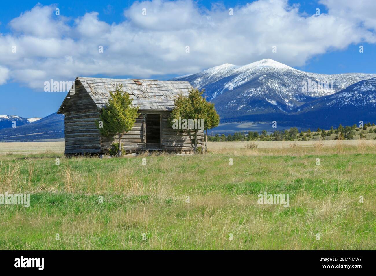 Alte Hütte unter Mount Baldy in den großen Gürtelbergen in der Nähe von townsend, montana Stockfoto