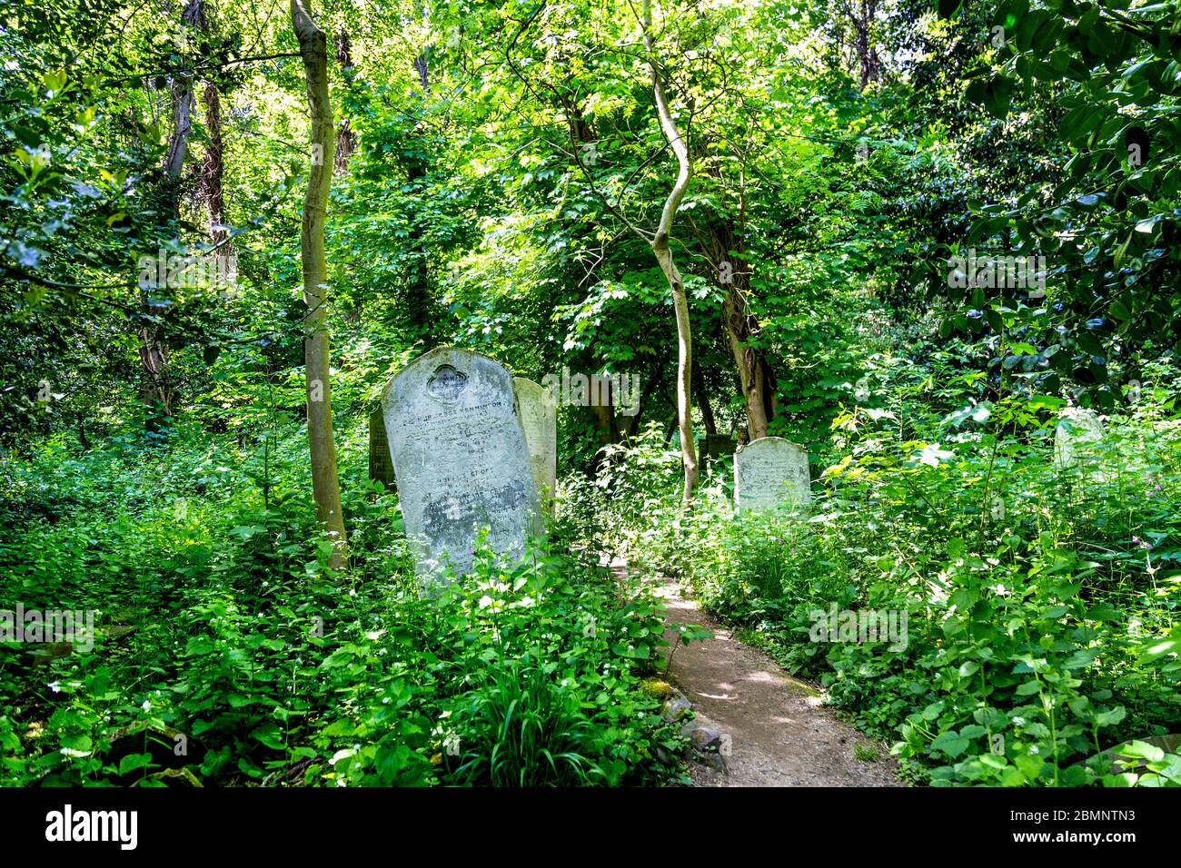 Tower Hamlets Cemetery Park, London, Großbritannien Stockfoto