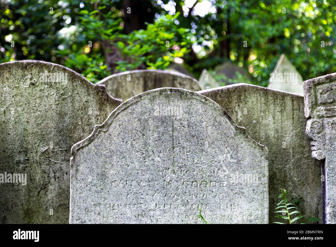 Nahaufnahme von alten Grabsteinen im Tower Hamlets Cemetery Park, London, Großbritannien Stockfoto