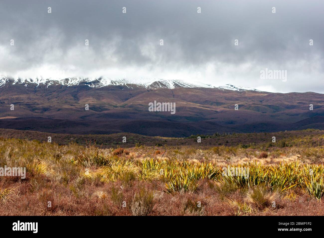 Landschaft aus Schnee Mount Ruapehu, Tongariro National Park, Manawatu-Wanganui, Neuseeland Stockfoto