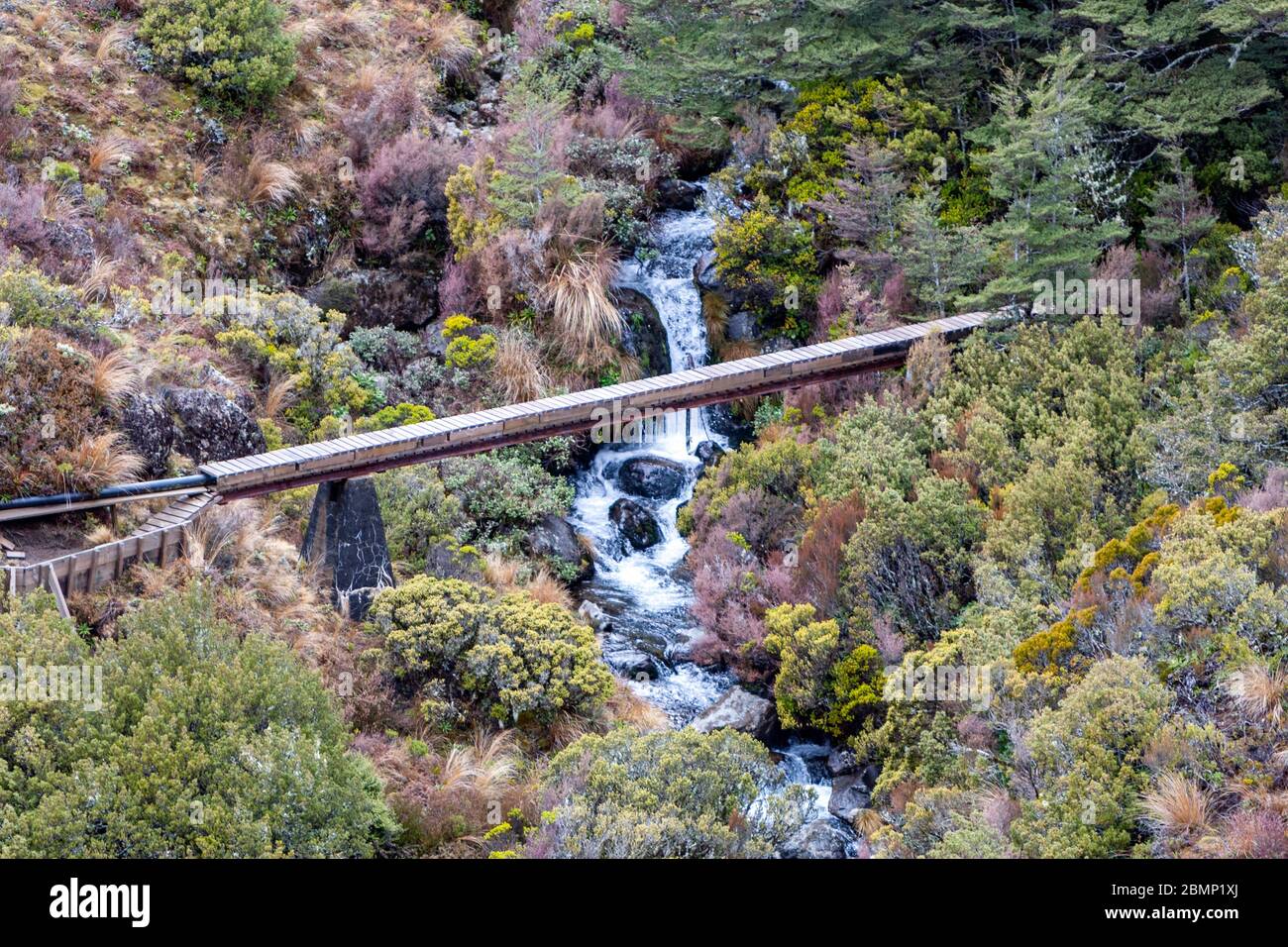 Fluss im Tongariro National Park, Manawatu-Wanganui, Neuseeland Stockfoto