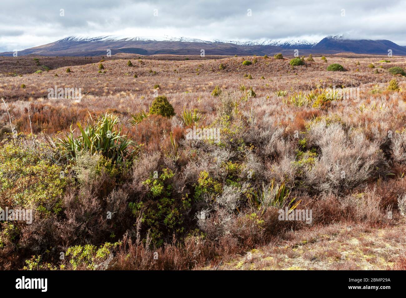 Tongariro National Park, Manawatu-Wanganui, Neuseeland Stockfoto