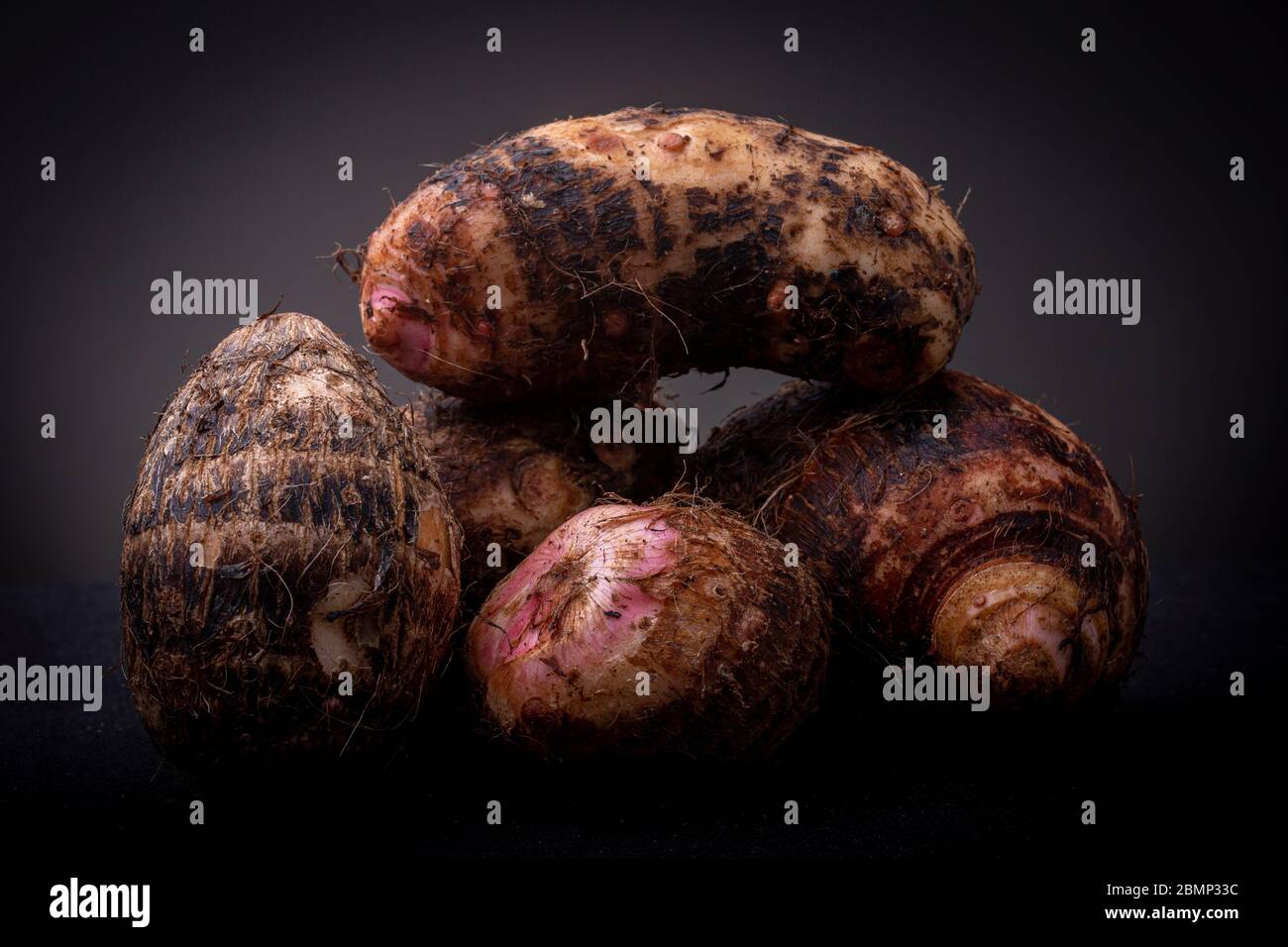 Ein paar haarige braune rosa rohe Yam essbare Gemüse vom lokalen brasilianischen Markt vor einem dunkelgrauen Hintergrund. Studio Low Key Food Konzept noch Stockfoto