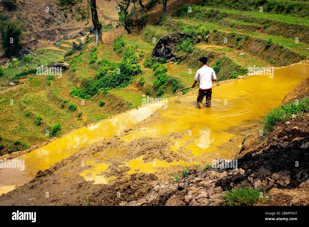 SA pa, Vietnam - 24. April 2018: Ein Landwirt arbeitet allein in einem Reisfeld, an einem bewölkten Tag genommen Stockfoto