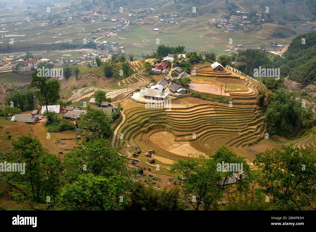 Blick nach unten auf Bauernhöfe und terrassierte Reisfelder, aufgenommen an einem bewölkten Tag, Sa Pa, Vietnam Stockfoto