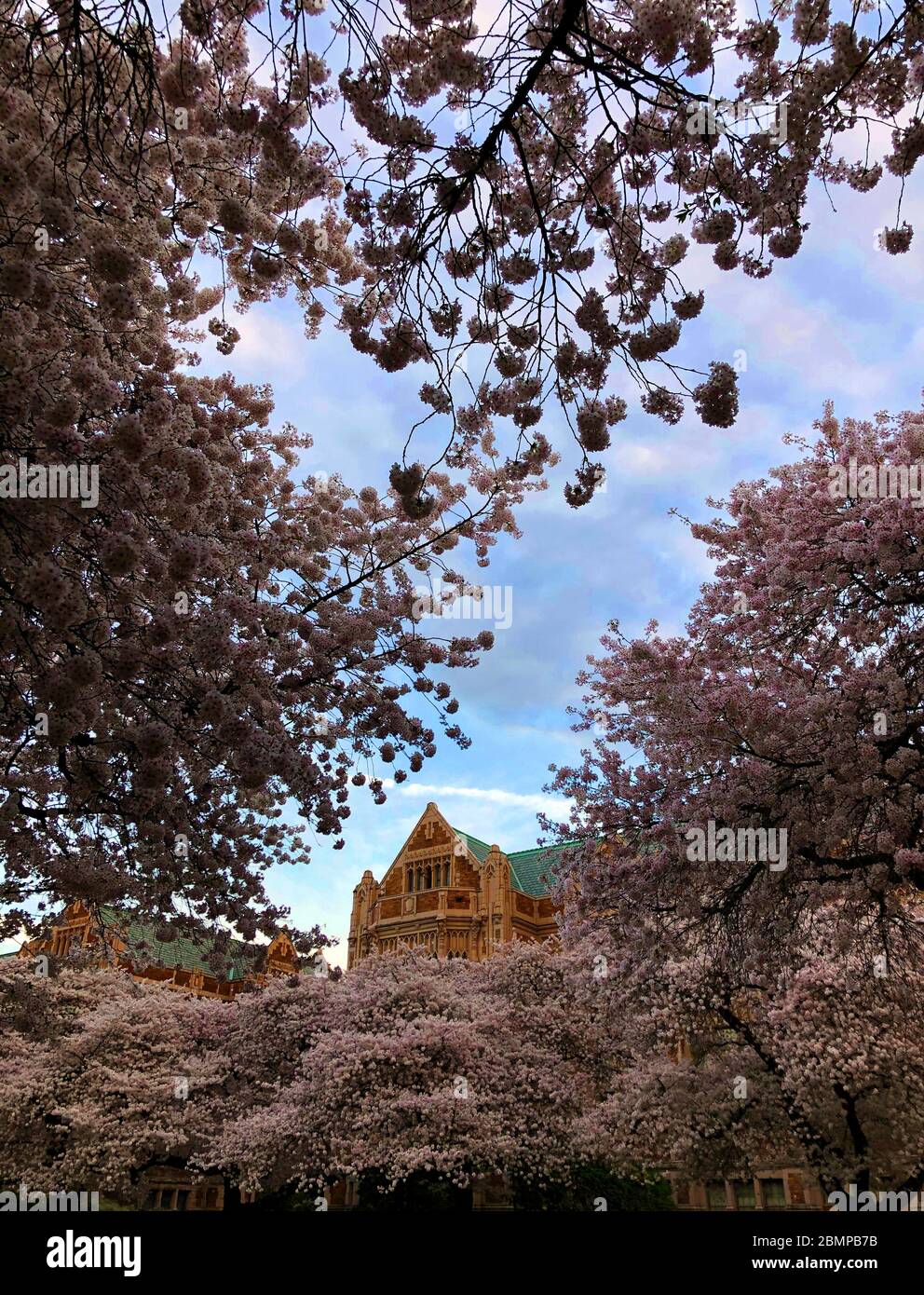 Bezaubernde Aussicht auf Seattle, Washington Stockfoto