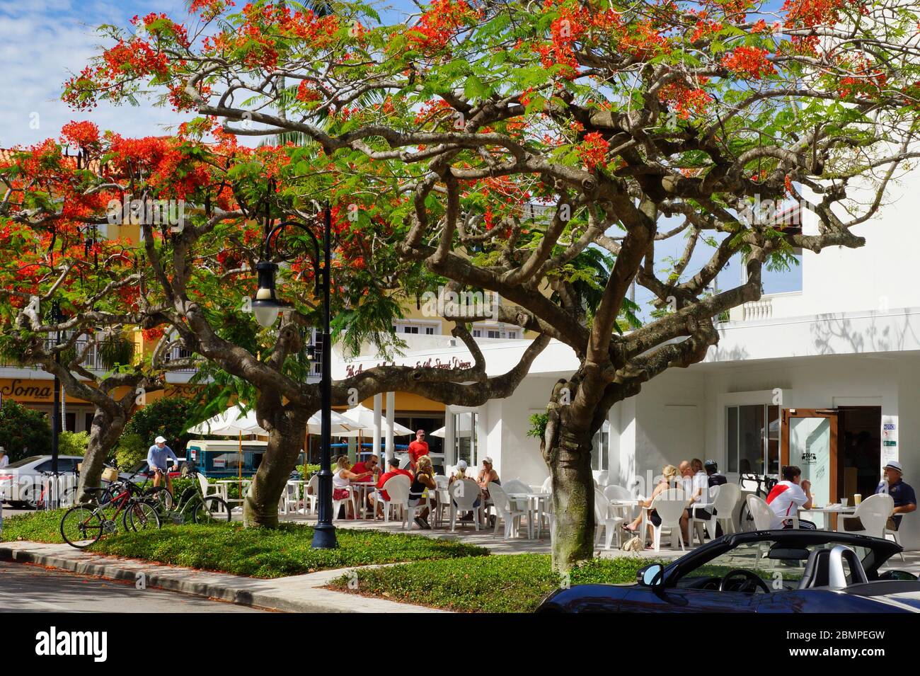 Morgenkaffee im alten Naples Florida Stockfoto