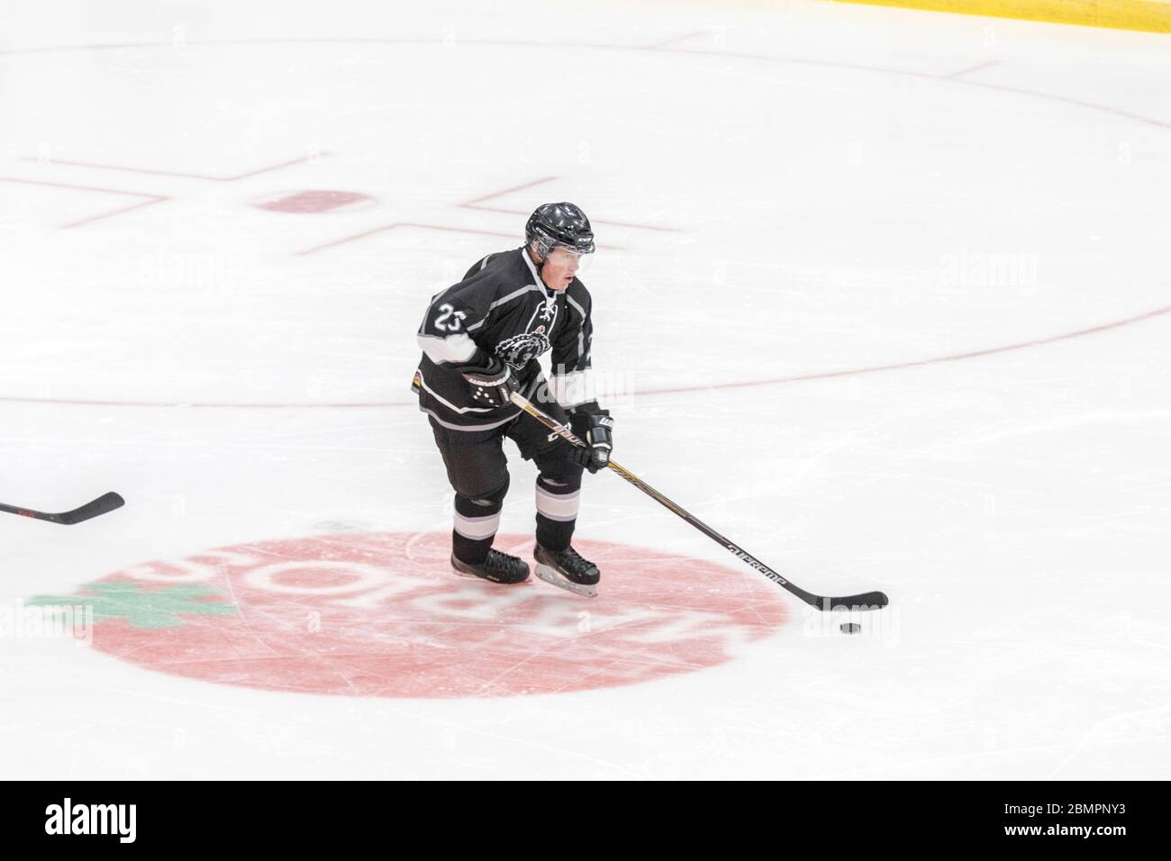 Herren Senior Hockey Action. Scoring, Zieltrends. Stockfoto