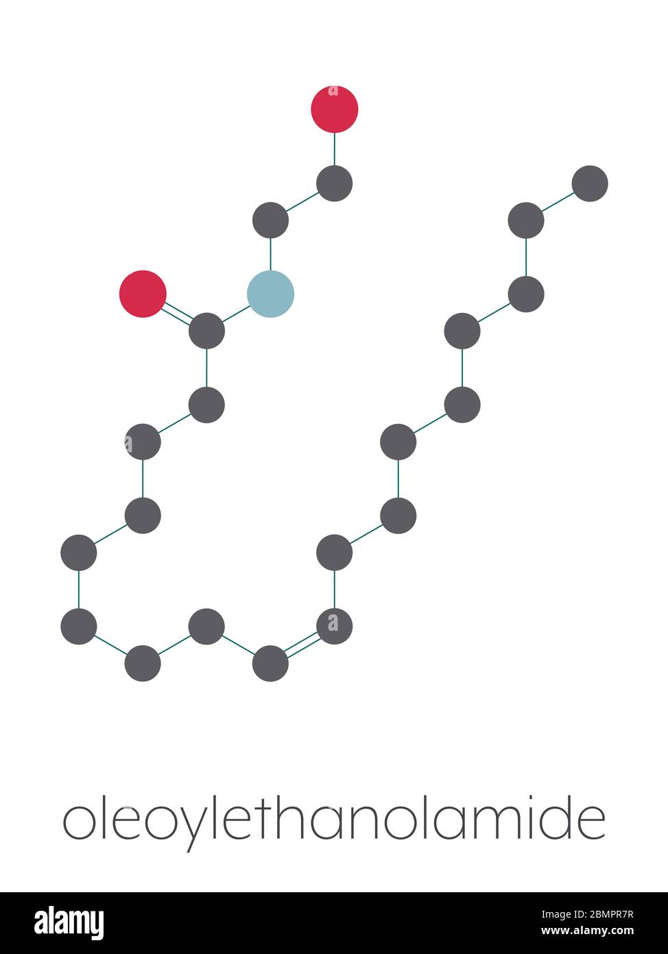 Peroxisom proliferator aktivierter rezeptor alpha Fotos und