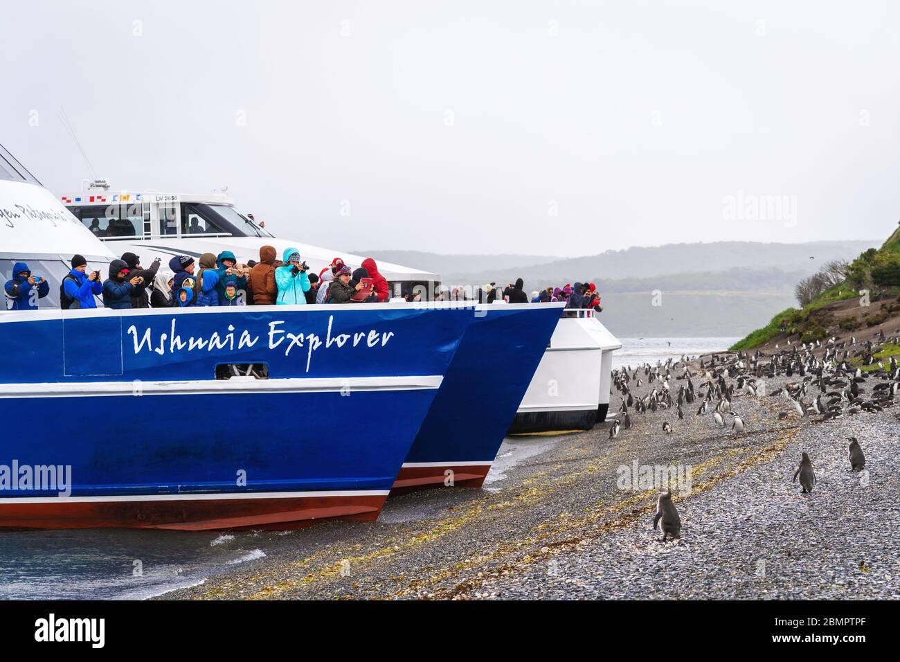 Touristenboote kommen auf der Insel Martillo an, die für ihre Magellan-Pinguine berühmt ist, im Beagle-Kanal in der Nähe von Ushuaia, Provinz Feuerland, Argentinien. Stockfoto
